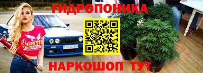 хмурый Будённовск