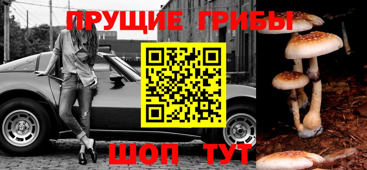 Псилоцибиновые грибы мицелий  Галлюциногенные грибы ЛСД  Новомосковск  Вход с VPN 
