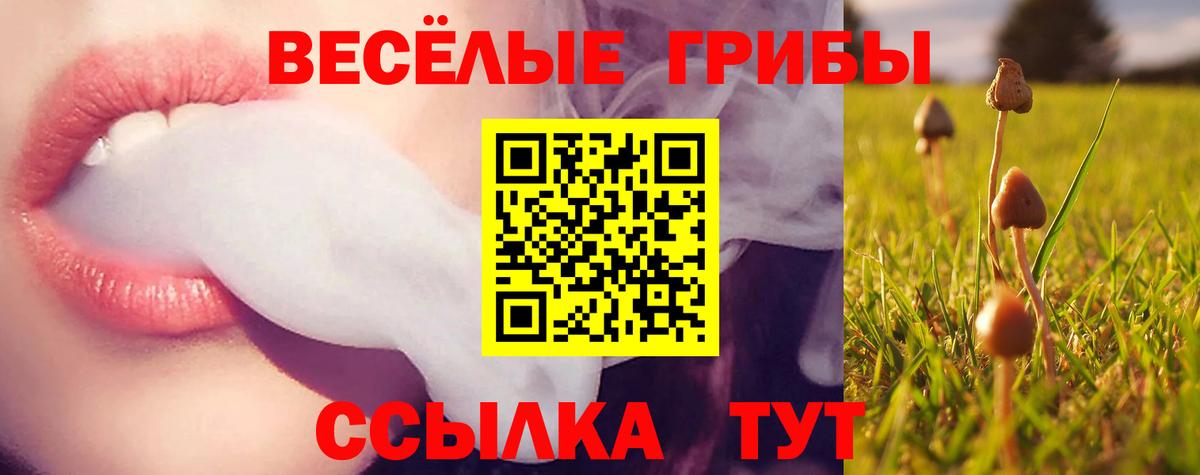 Галлюциногенные грибы MAGIC MUSHROOMS Новомосковск